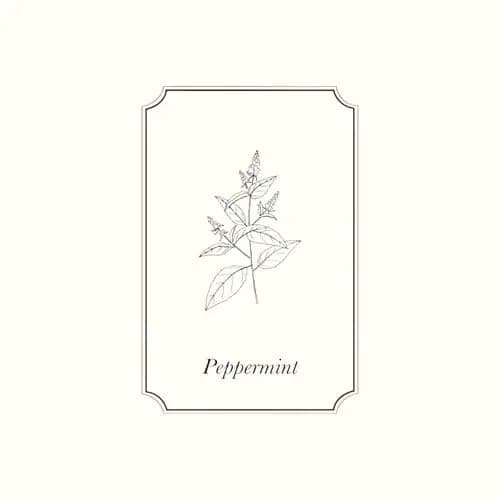 Peppermint Essential Oil: 10ml