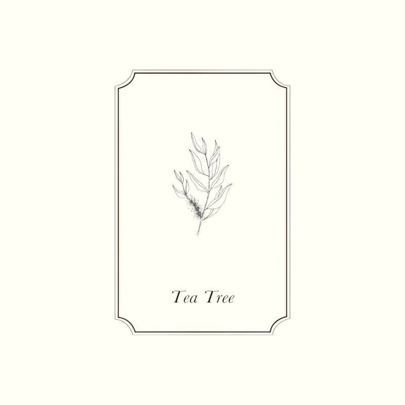 Tea Tree Essential Oil: 10ml